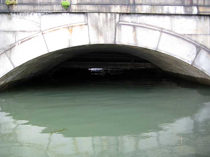 b0057679_10195917.jpg