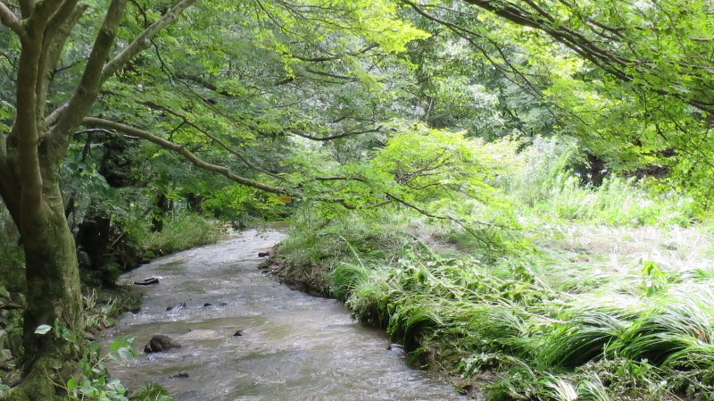 e0024081_20332893.jpg