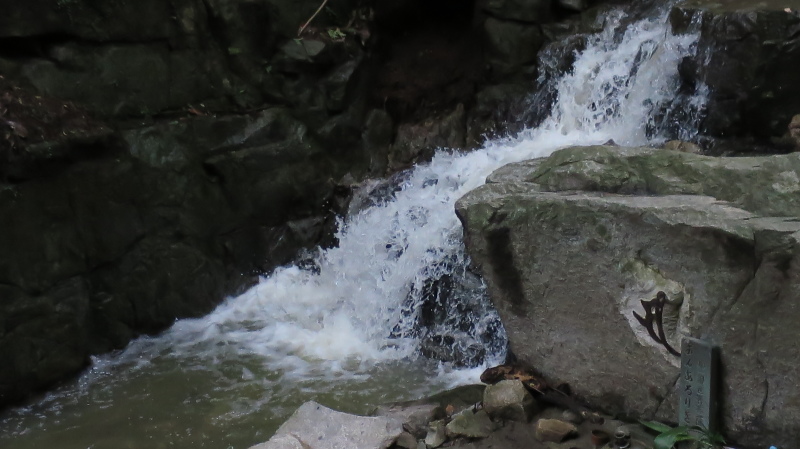 e0024081_20403481.jpg
