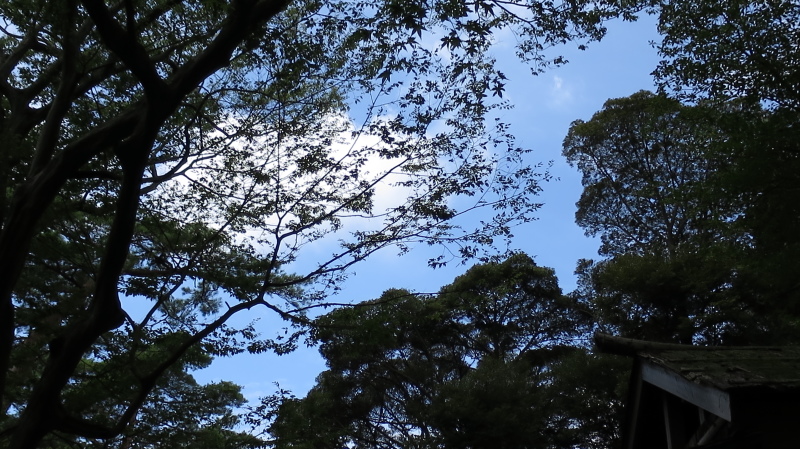 e0024081_20443841.jpg