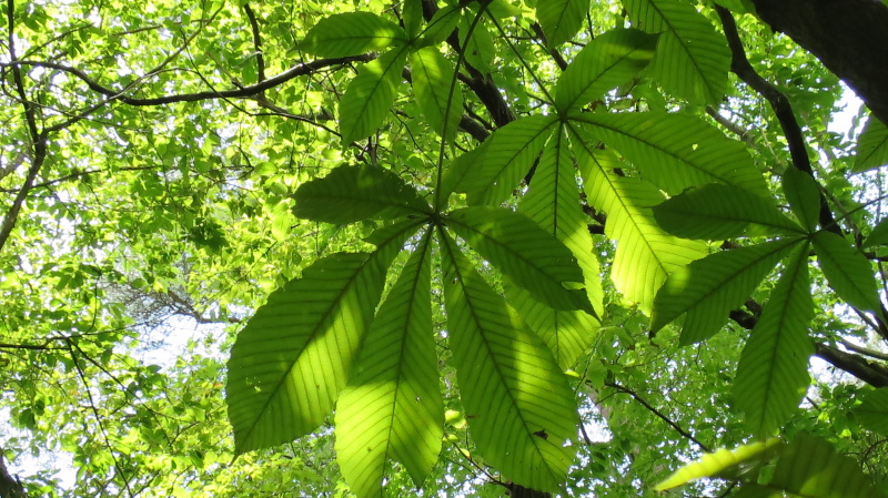 e0024081_20460541.jpg