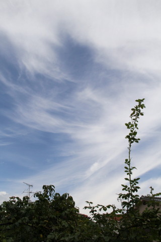 e0154682_22040171.jpg