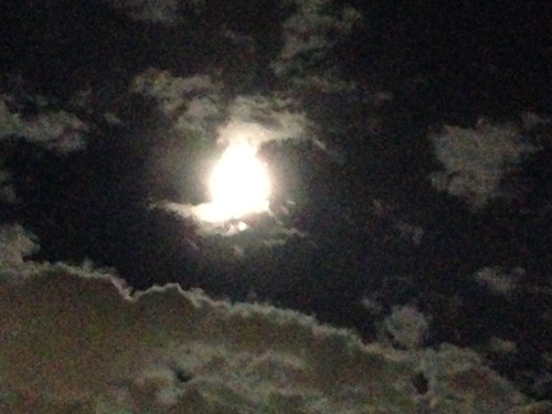 c0085188_8395511.jpg