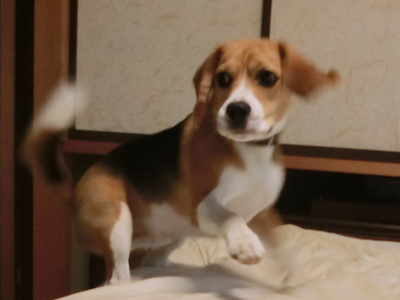 a0319693_972425.jpg