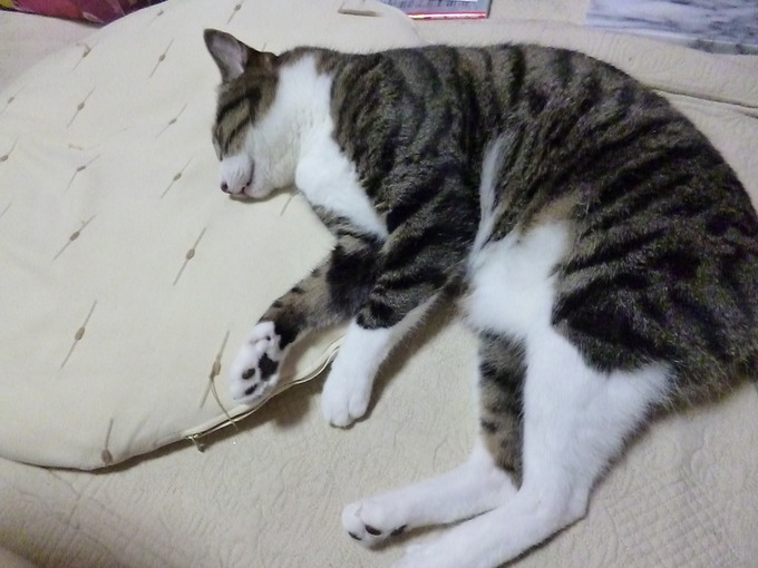 f0305995_11232730.jpg