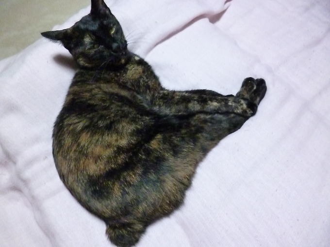 f0305995_1126204.jpg