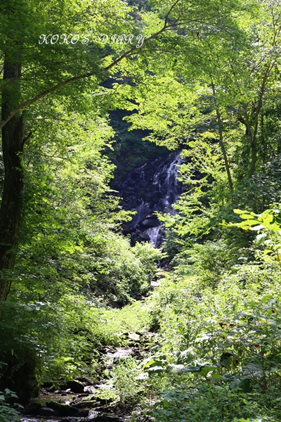 e0059896_21121468.jpg