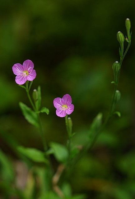 b0145398_21505627.jpg