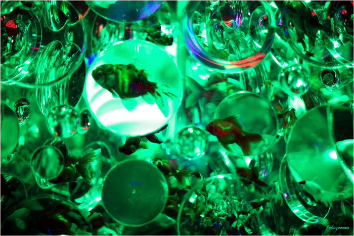 f0185802_2321436.jpg