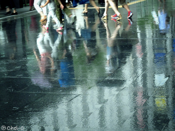 a0154706_16255526.jpg