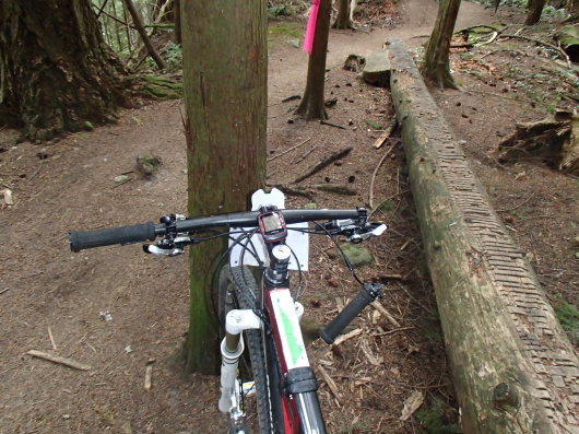 e0214907_21185153.jpg