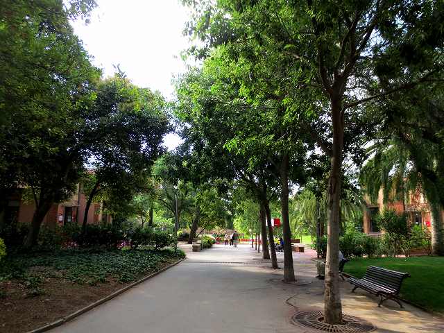b0064411_07125435.jpg