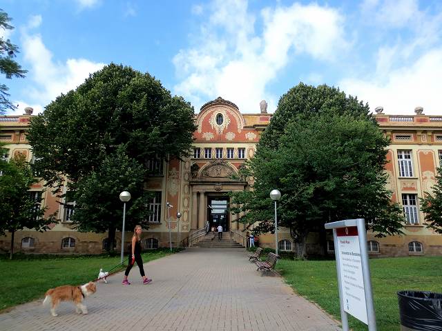 b0064411_07170985.jpg