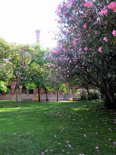 b0064411_07260472.jpg