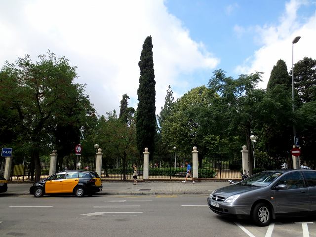 b0064411_07292082.jpg