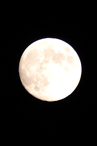 d0253014_10591660.jpg
