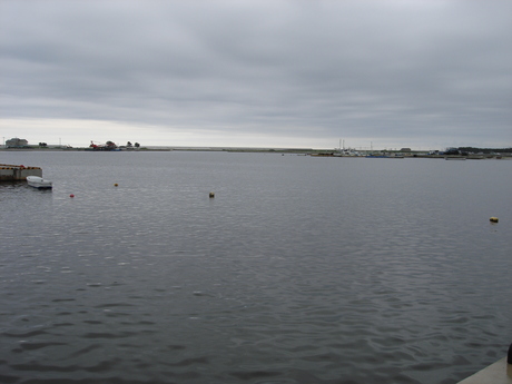 d0250123_21484984.jpg