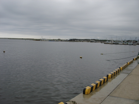 d0250123_21503351.jpg