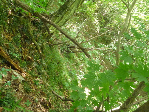 b0195927_2355814.jpg