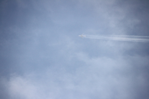 d0158028_20412390.jpg