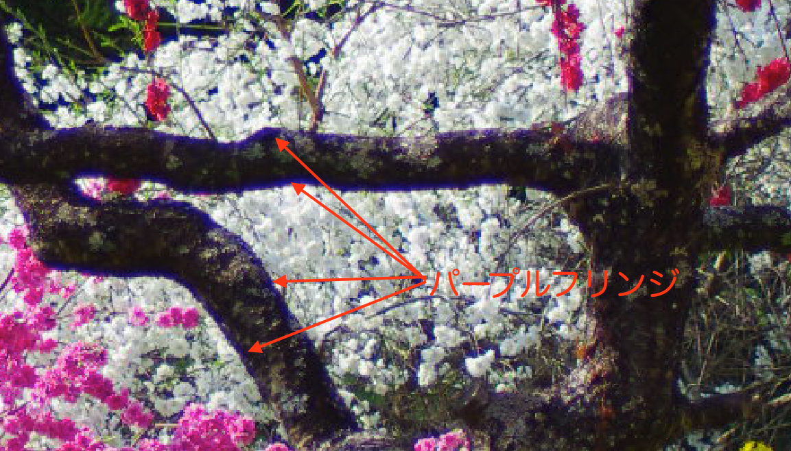 e0317528_08021658.png