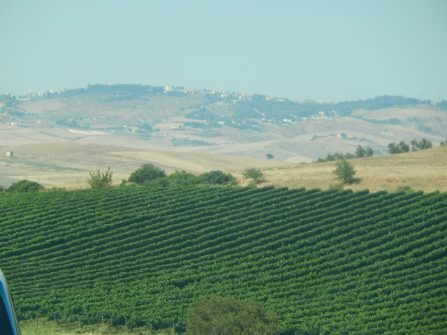 f0329429_18394816.jpg