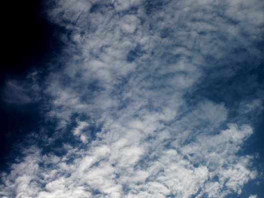 a0206332_8283547.jpg