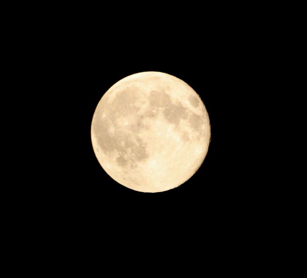 e0149934_2112381.jpg