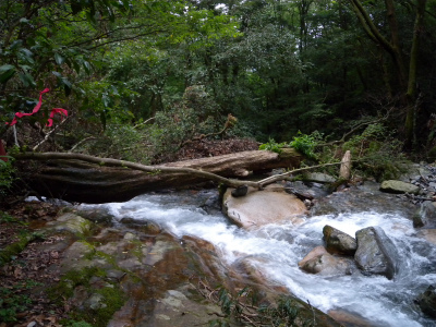 e0272335_20353819.jpg
