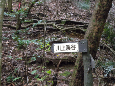 e0272335_2037416.jpg