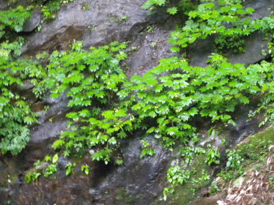 e0272335_20444585.jpg