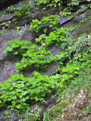 e0272335_2044597.jpg