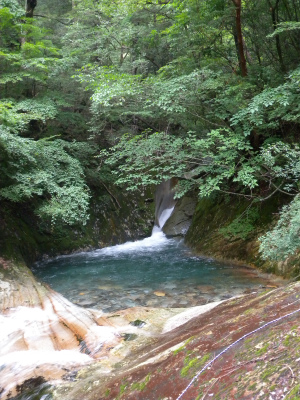 e0272335_213686.jpg