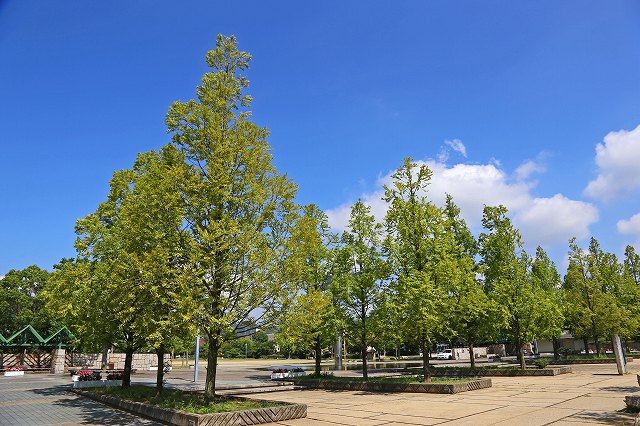 a0242438_18273145.jpg