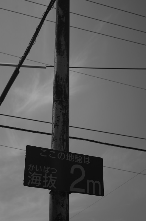 d0165741_1705811.jpg