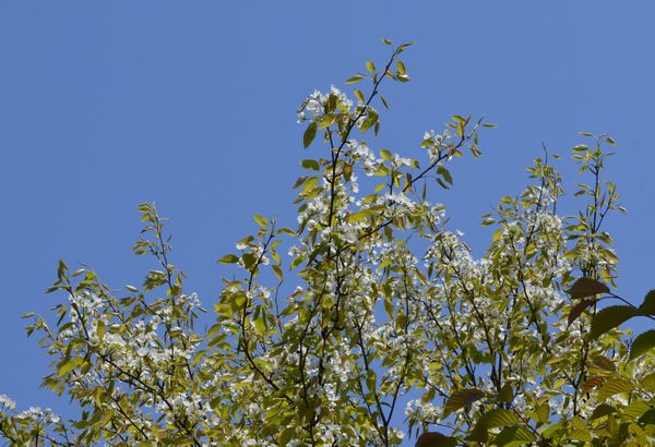 e0098241_15394016.jpg