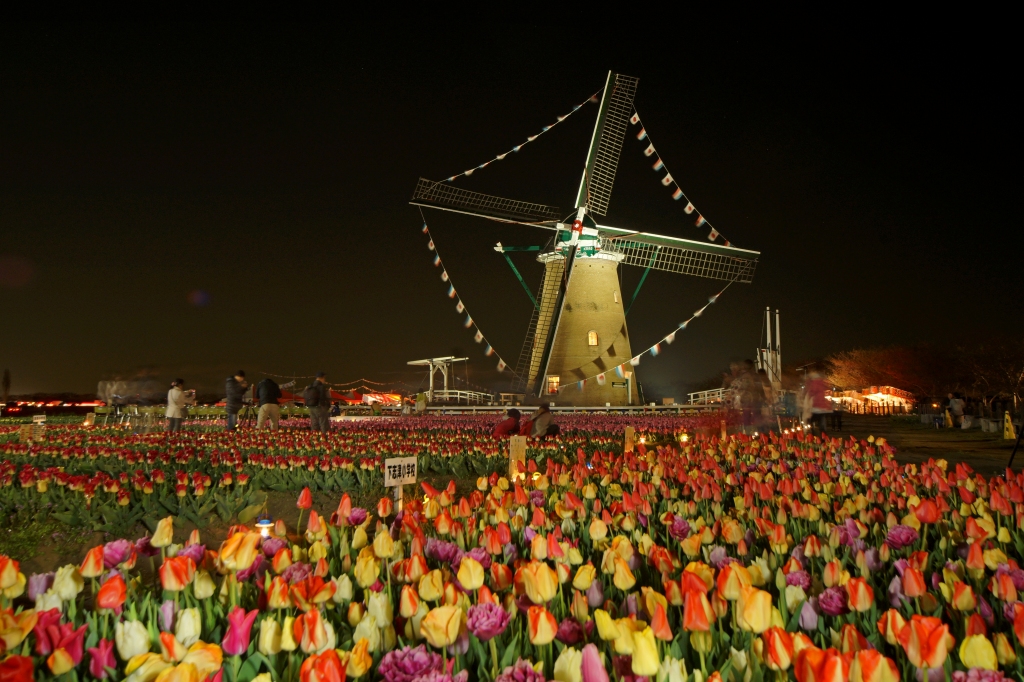 e0229455_00124454.jpg