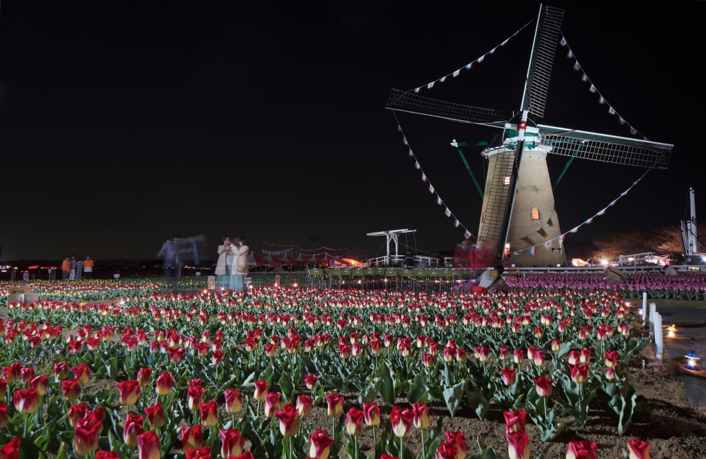 e0229455_00124933.jpg