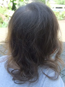 f0097363_1681089.jpg