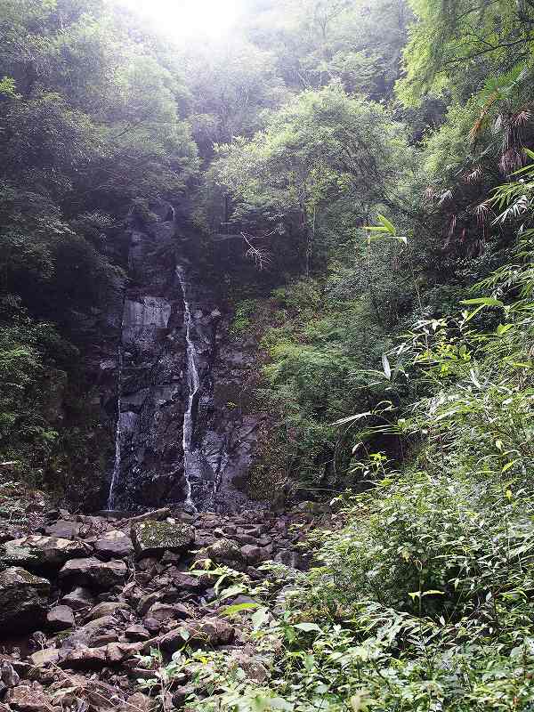 d0128465_11352498.jpg