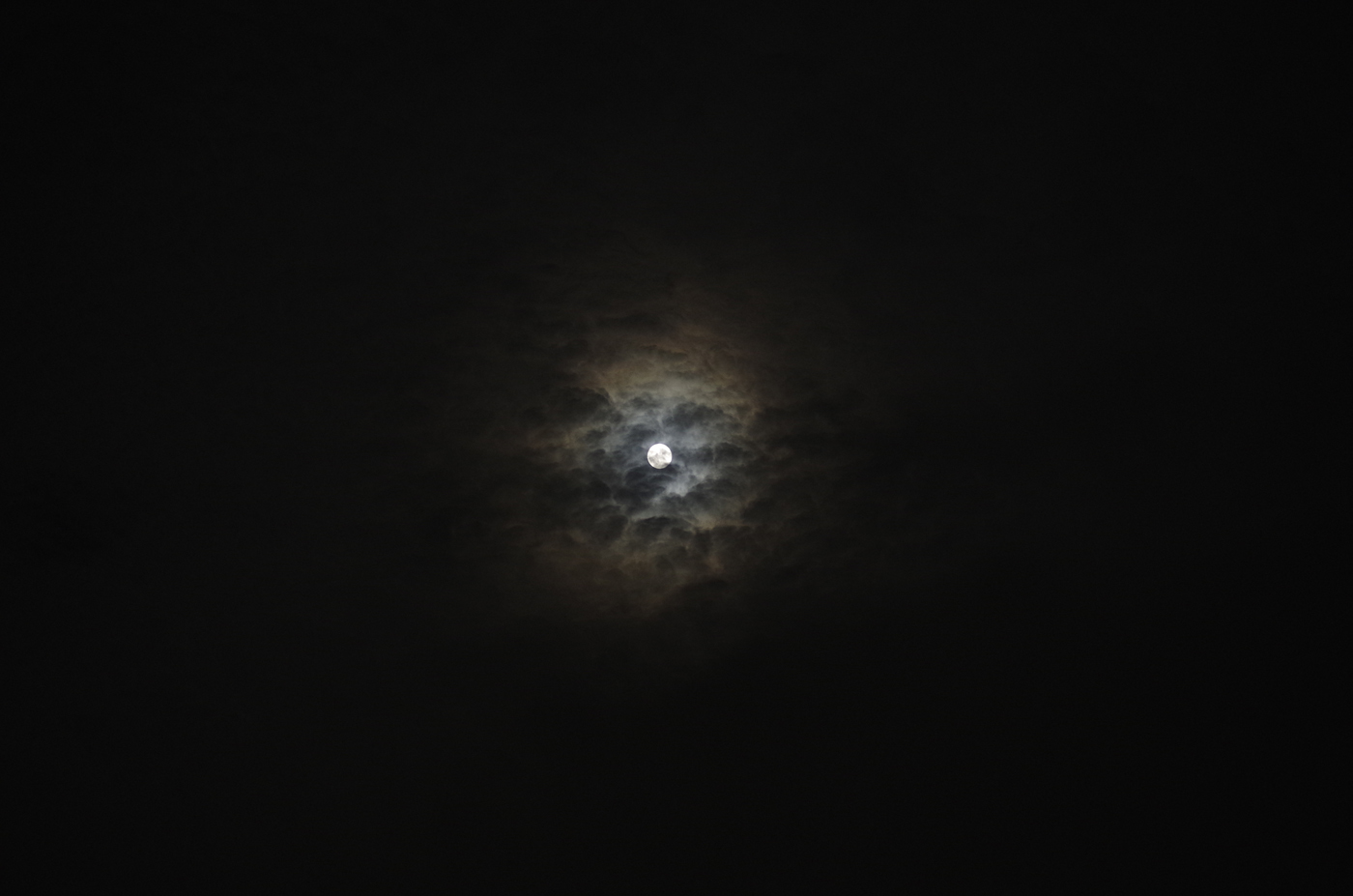 d0286980_2543825.jpg