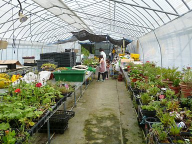 b0075888_11462397.jpg