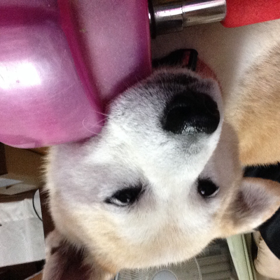 c0123890_20134169.jpg