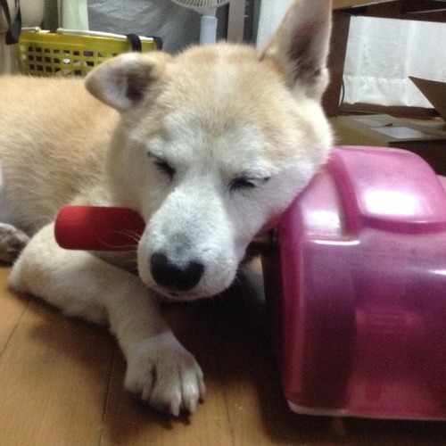 c0123890_2014797.jpg
