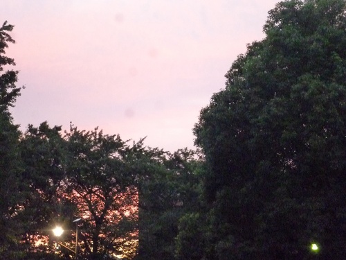 c0123890_203790.jpg