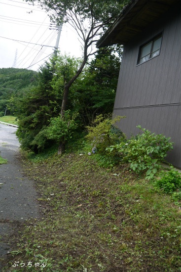 f0353990_13274991.jpg
