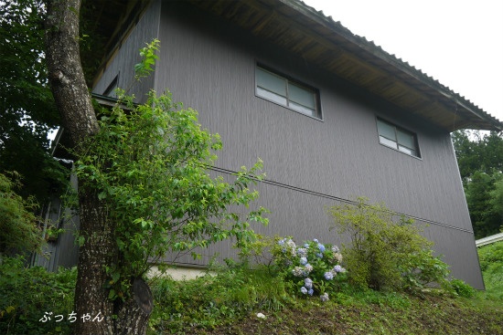 f0353990_13280287.jpg