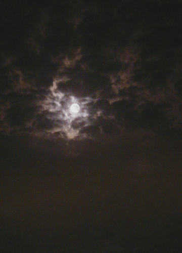 d0053294_1237354.jpg