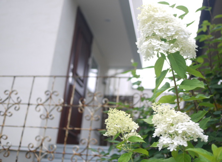 f0161494_1593410.jpg