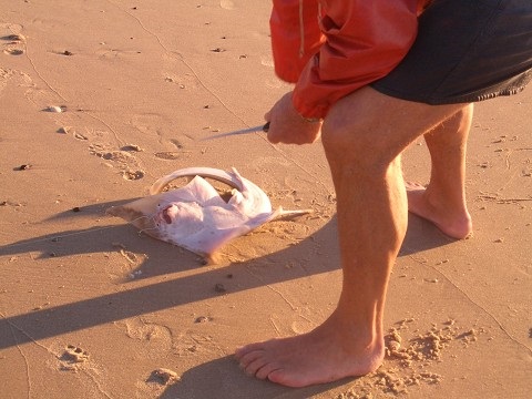f0346196_05491371.jpg